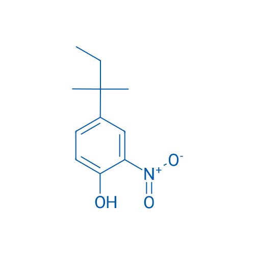 2-Nitro-4-tert-pentylphenol 25g