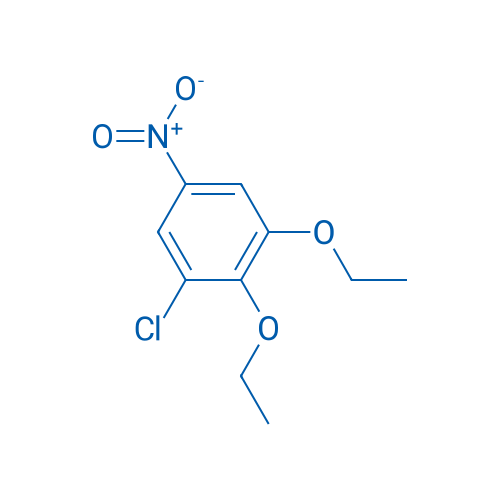 1-Chloro-2,3-diethoxy-5-nitrobenzene 1g