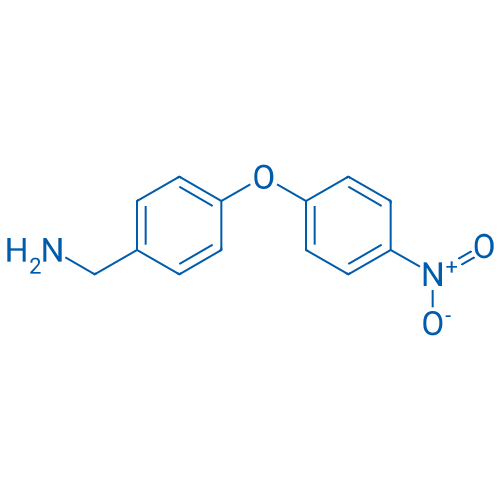 1-((4-(4-Nitrophenoxy)phenyl))methanamine 1g