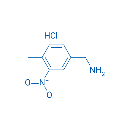 (4-Methyl-3-nitrophenyl)methanamine hydrochloride 250mg