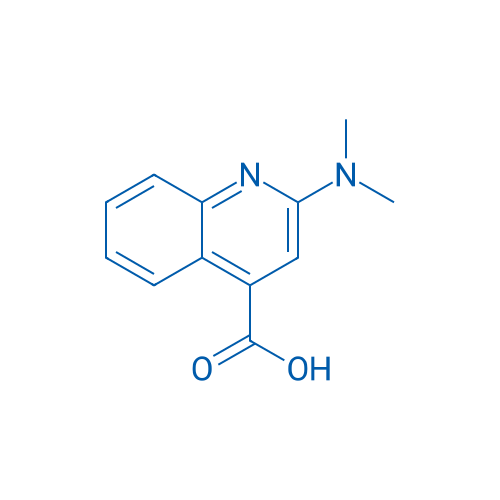 2-(Dimethylamino)quinoline-4-carboxylic acid 100mg