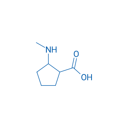 2-(Methylamino)cyclopentane-1-carboxylic acid 1g
