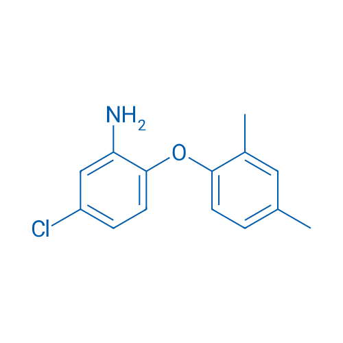5-Chloro-2-(2,4-dimethylphenoxy)aniline 1g
