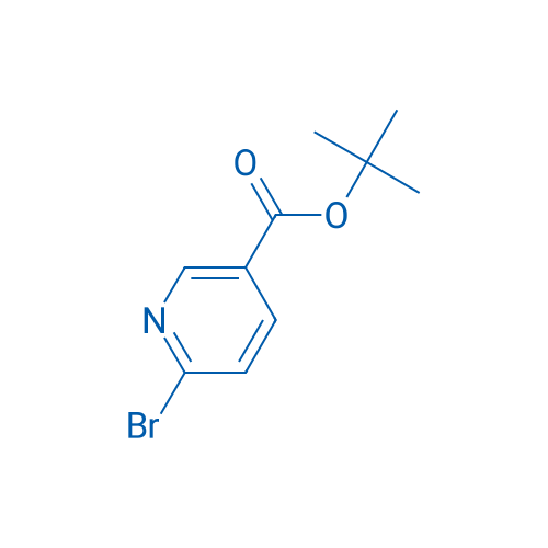 tert-Butyl 6-bromonicotinate 25g