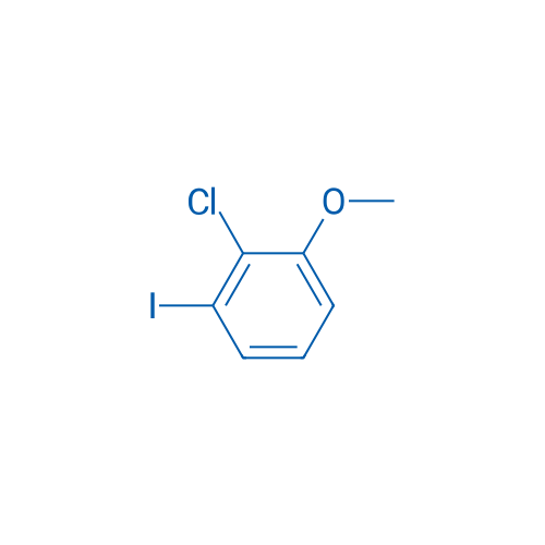 2-Chloro-1-iodo-3-methoxybenzene 1g
