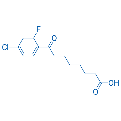 8-(4-Chloro-2-fluorophenyl)-8-oxooctanoic acid 1g