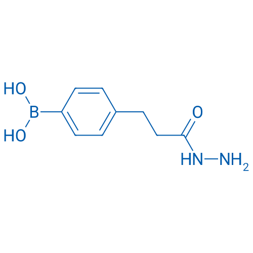 (4-(3-Hydrazinyl-3-oxopropyl)phenyl)boronic acid 100g