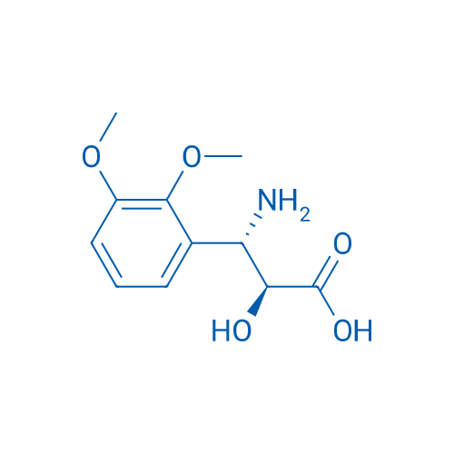 (2S,3S)-3-Amino-3-(2,3-dimethoxyphenyl)-2-hydroxypropanoic acid 1g