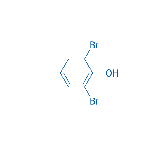 2,6-Dibromo-4-tert-butylphenol 25g
