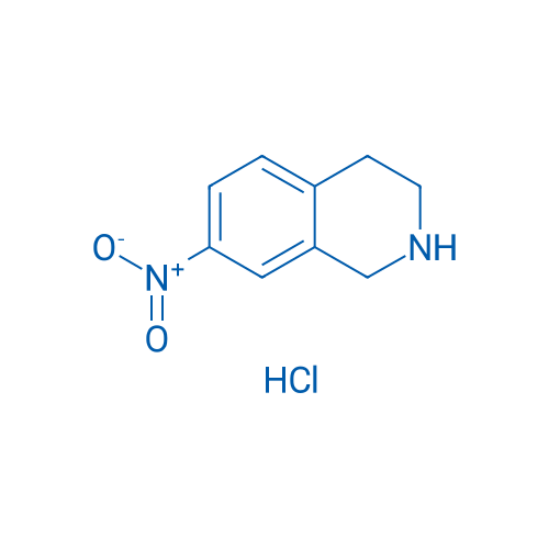 7-Nitro-1,2,3,4-tetrahydroisoquinoline hydrochloride 5g
