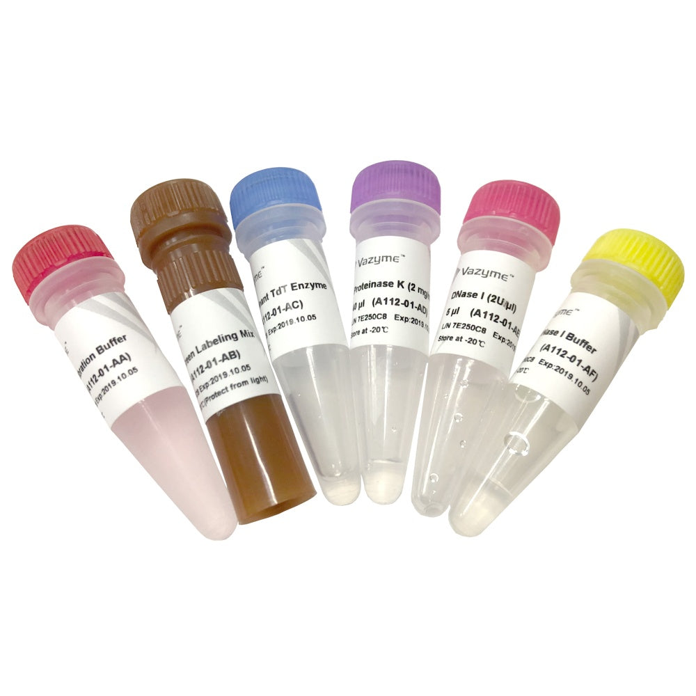 TUNEL BrightGreen Apoptosis Detection Kit A112