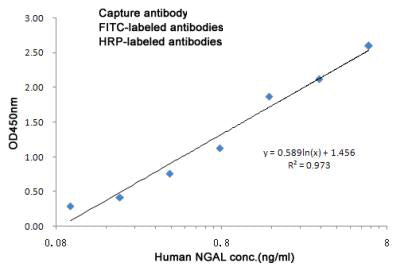 Lipocalin 2 (3C6) Mouse Monoclonal Antibody