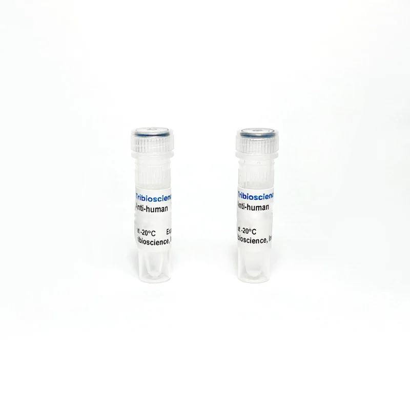 Anti-Human CD56 Mouse Monoclonal Antibody (TBS10246) - 50 UG