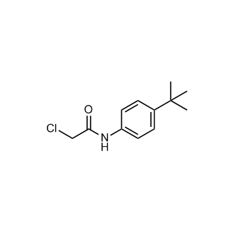N-(4-tert-Butylphenyl)-2-chloroacetamide