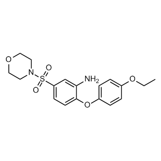2-(4-Ethoxyphenoxy)-5-(morpholine-4-sulfonyl)aniline