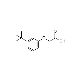 2-(3-Tert-butylphenoxy)acetic acid