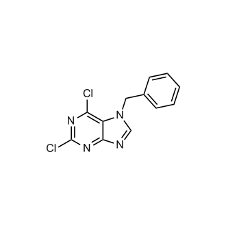 7-benZyl-2,6-dichloro-7h-purine