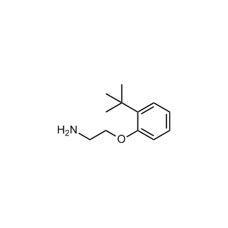 2-(2-(Tert-butyl)phenoxy)ethan-1-amine