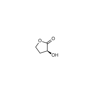 (S)-3-hydroxydihydrofuran-2(3H)-one
