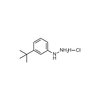 (3-(Tert-butyl)phenyl)hydrazine hydrochloride