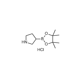 3-(4,4,5,5-Tetramethyl-1,3,2-dioxaborolan-2-yl)pyrrolidine hydrochloride