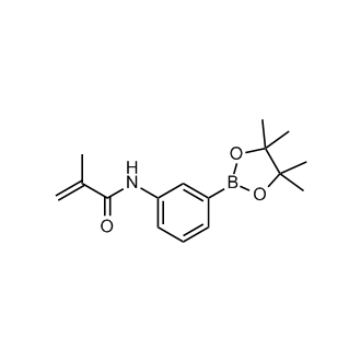 N-(3-(4,4,5,5-tetramethyl-1,3,2-dioxaborolan-2-yl)phenyl)methacrylamide