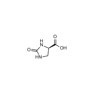 (R)-2-Oxoimidazolidine-4-carboxylic acid
