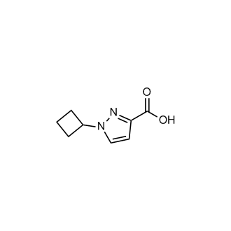 1-Cyclobutyl-1H-pyrazole-3-carboxylic acid