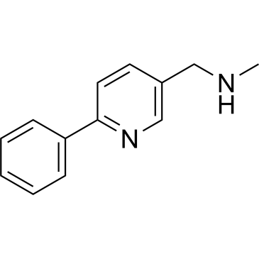 N-methyl-1-(6-phenylpyridin-3-yl)methanamine