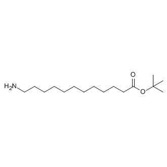 1,1-Dimethylethyl 12-aminododecanoate