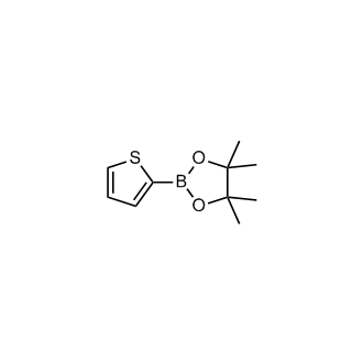 4,4,5,5-Tetramethyl-2-(2-thienyl)-1,3,2-dioxaborolane
