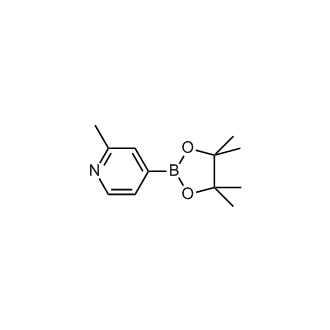 2-Methylpyridine-4-boronic acid pinacol ester