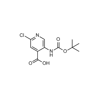 5-((tert-Butoxycarbonyl)amino)-2-chloroisonicotinic acid