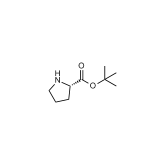 H-Pro-OtBu