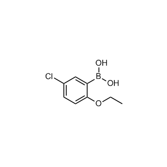 (5-Chloro-2-ethoxyphenyl)boronic acid