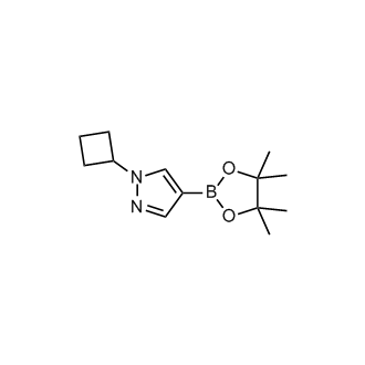 1-Cyclobutyl-4-(4,4,5,5-tetramethyl-1,3,2-dioxaborolan-2-yl)-1H-pyrazole