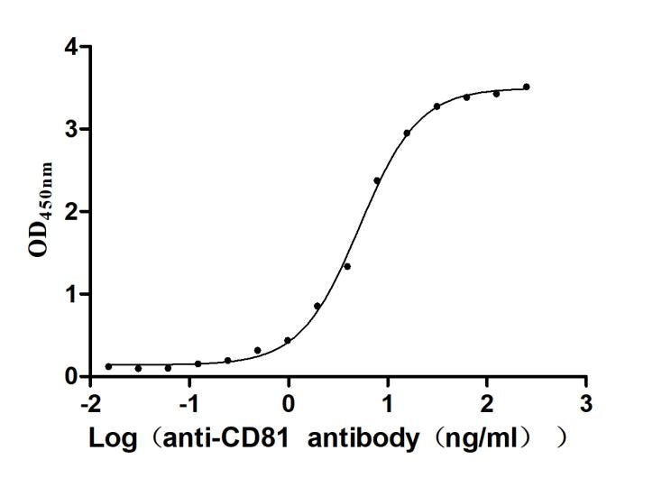 CD81 Recombinant Monoclonal Antibody