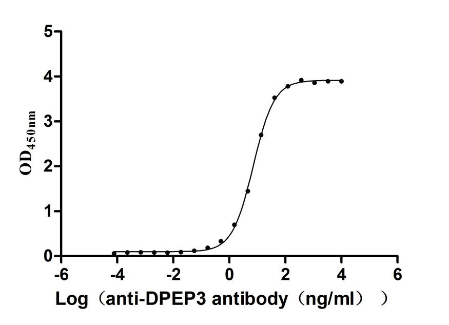 DPEP3 Recombinant Monoclonal Antibody