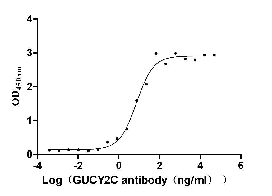 GUCY2C Monoclonal Antibody