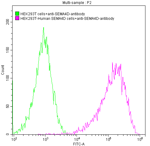 SEMA4D Monoclonal Antibody