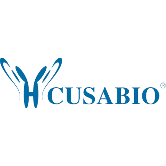SOST Recombinant Monoclonal Antibody