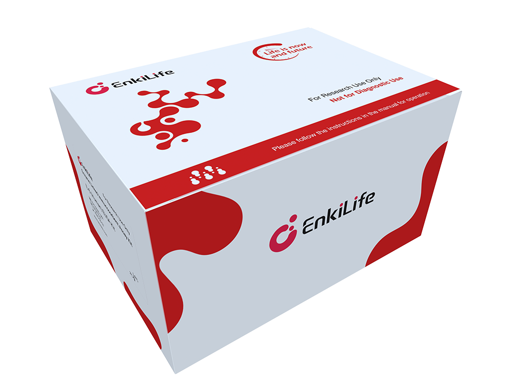 S100A11 (Human) ELISA Kit