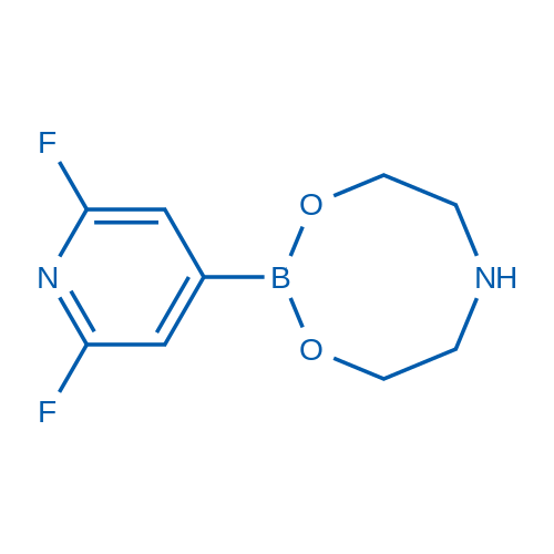 2-(2,6-Difluoropyridin-4-yl)-1,3,6,2-dioxazaborocane 1g