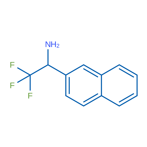 2,2,2-TRIFLUORO-1-(NAPHTHALEN-2-YL)ETHAN-1-AMINE 1g