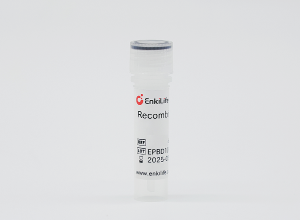Recombinant Human Tissue Factor
