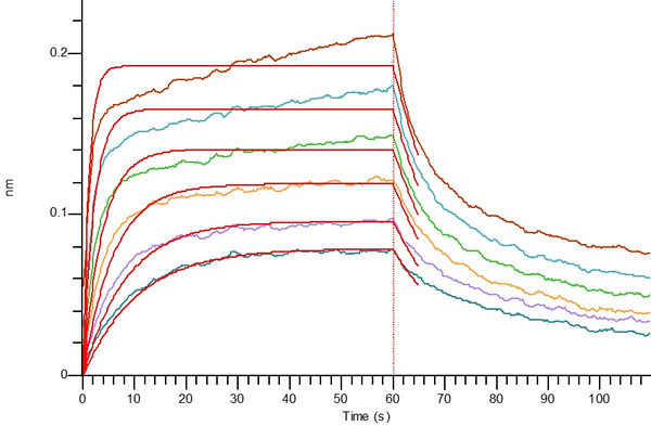 Recombinant Human PVR (C-mFc)