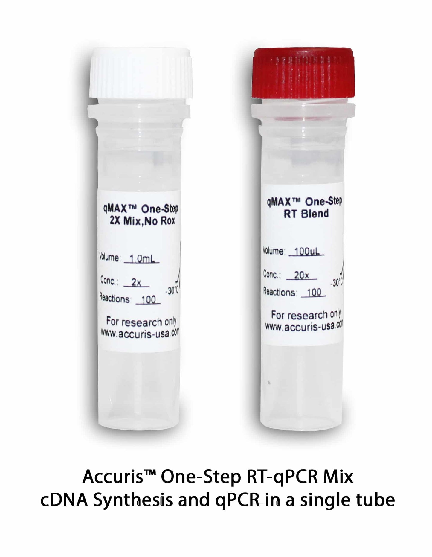 Accuris qMAX Probe One-Step RT-qPCR Kit, High Rox, 500 reactions