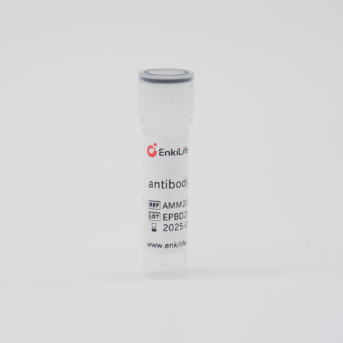 BIOTIN-Monoclonal Mouse Anti-Human (Fc specific)