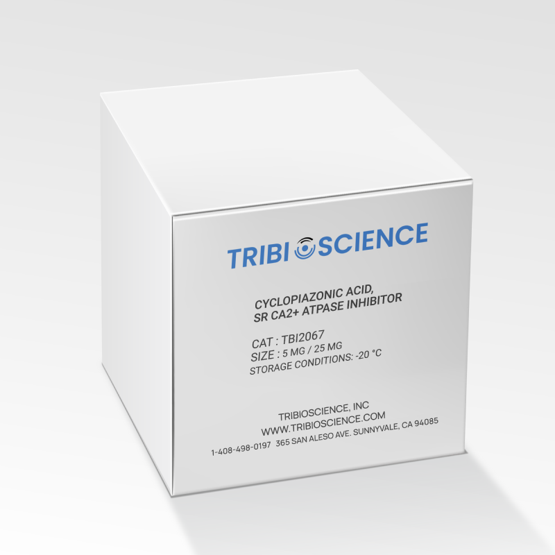 Cyclopiazonic acid, SR Ca2+ ATPase inhibitor