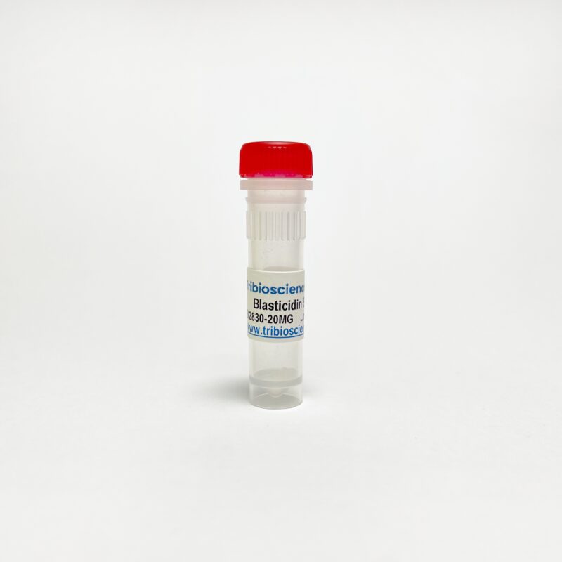 Blasticidin S HCl, Antibiotic selection agent